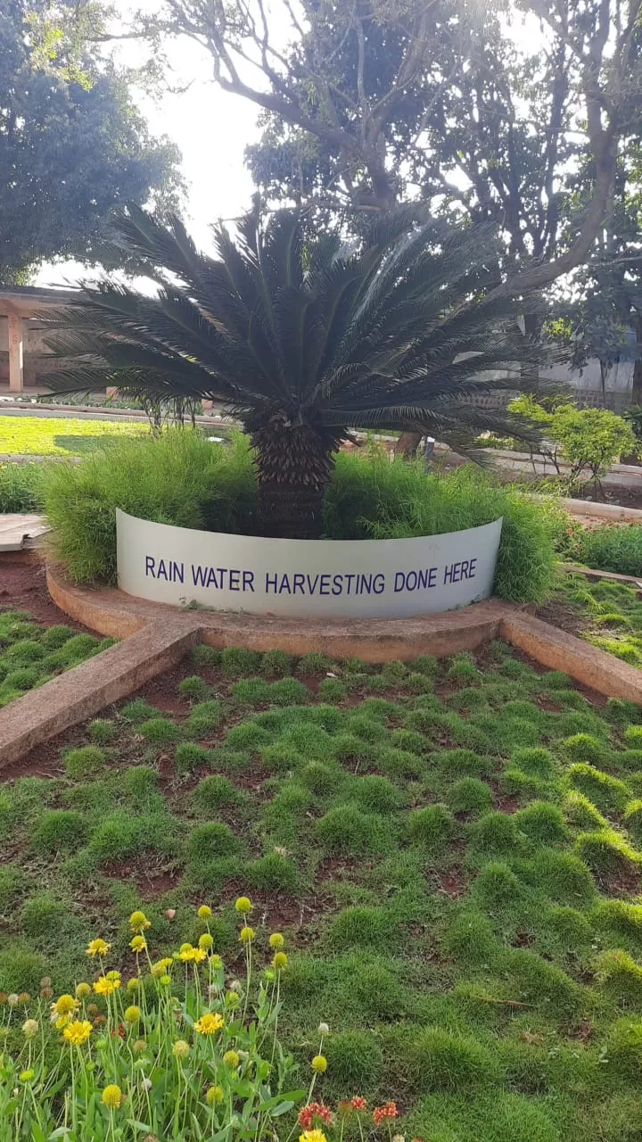 rainwater-harvesting-img